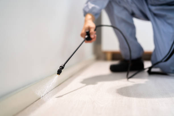 Bed Bug Pre-Treatment Preparation Assessment in Du Quoin
