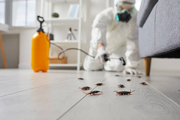 Post-Treatment Bed Bug Interceptor Monitoring in Du Quoin