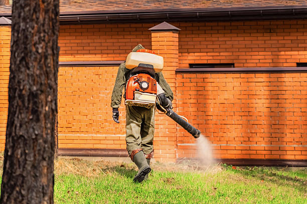 Bed Bug Clearance Verification and Documentation in Du Quoin